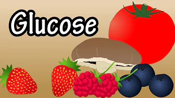 Wat doet een spier met glucose?