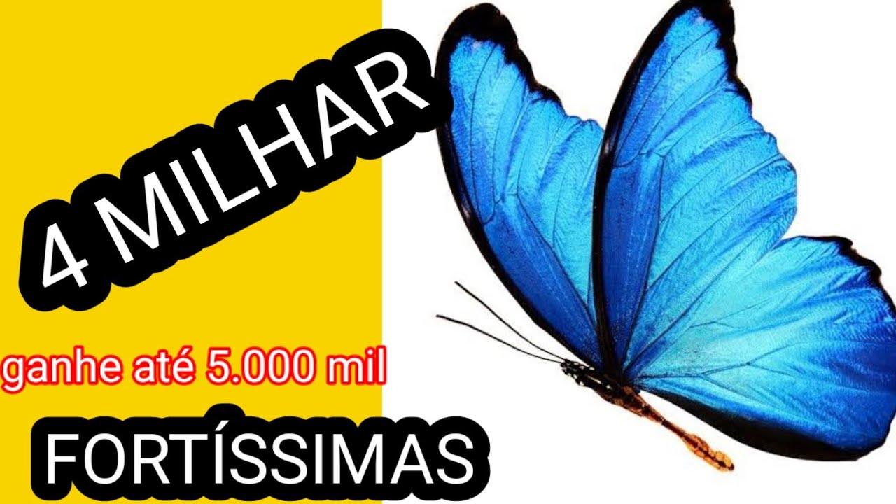 4 MILHAR e CENTENAS fortíssimas da BORBOLETA grupo 04 - YouTube