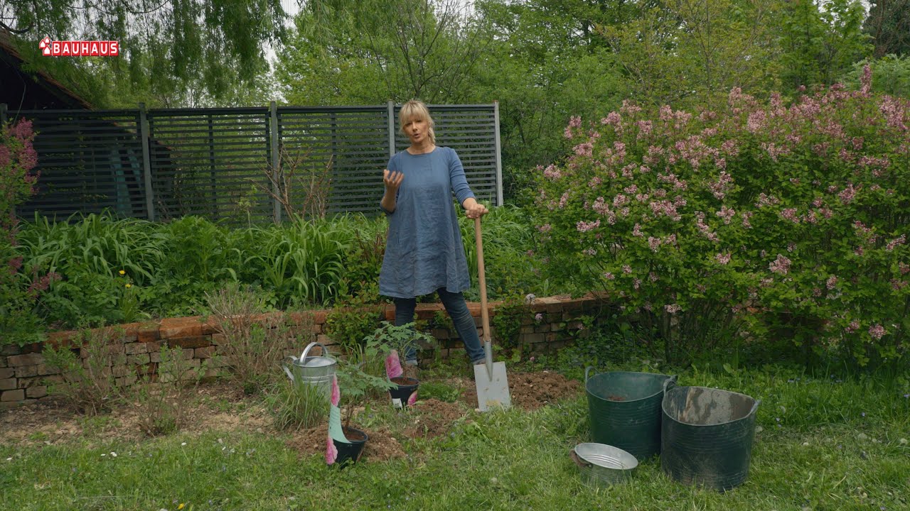 Škola vrtlarstva - posadite božure