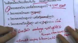 ormBio 051 : การสืบพันธุ์ ,ตอน02