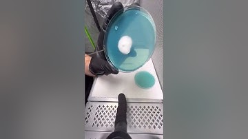 Here’s a tip, take it or leave it episode 10. Noc loop coring tool! #treediggsmyco #heartshroom