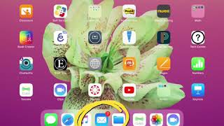 How to setup email on iPad.