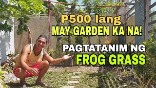 PAANO MAGTANIM NG FROG GRASS / GARDEN TIPID TIPS