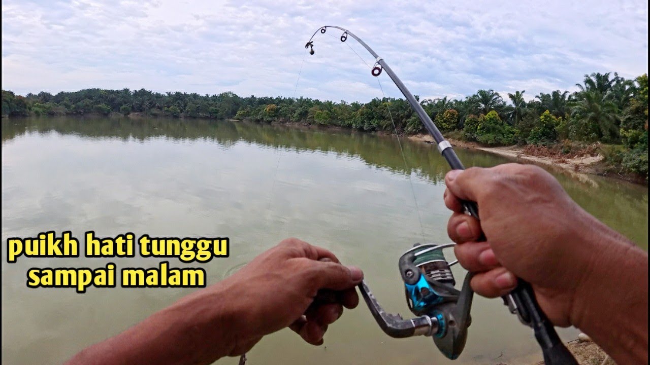 mancing lampam lombong .dia makan senyap??.puikh hati tunggu sampai malam umpan dedak+roti gardeniar
