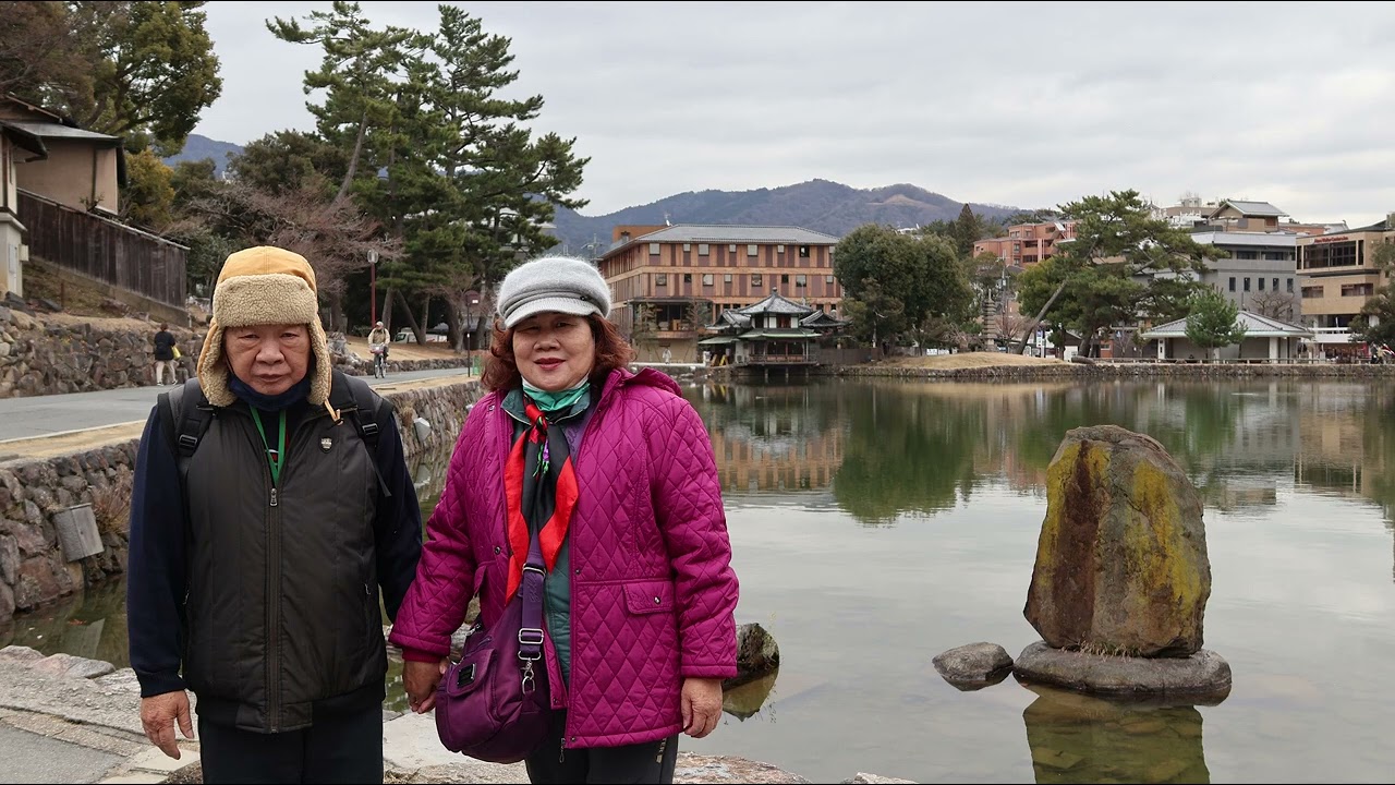 2024大阪自由行奈良興福寺