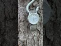 Seiko 5 SNKP09 #watch #horology #seiko5