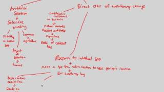 Darwinian Evolution - Evidence I | BIALIGY.com