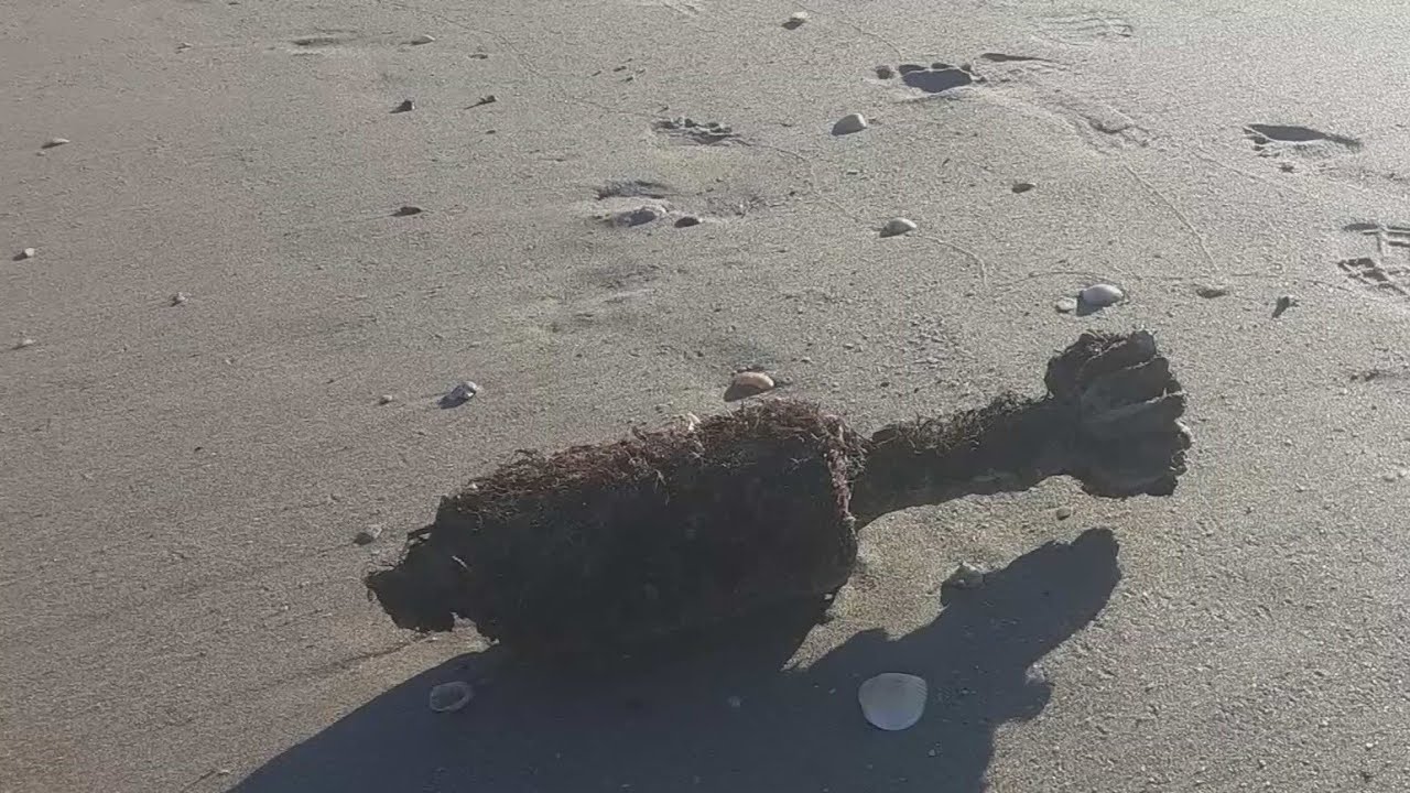 World War II mortar found off Fort Pierce detonated by bomb squad