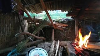 Hangat  Berteduh Dari Hujan Di Saung Tengah Sawah Milik Pak Tani
