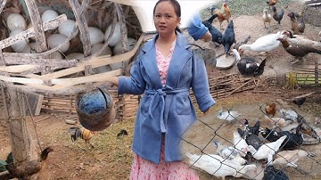 tag ki no kuv tu txivtsev wb pub qaib pub os