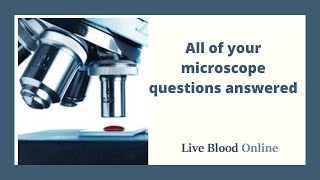 All of Your Microscope Questions Answered - Live Blood Analysis Training Course