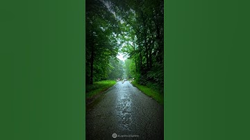 ﴿إنه لا ييأس من روح الله إلا القوم الكافرون﴾ من سورة يوسف بصوت القارئ عبد الباسط