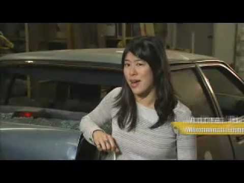 Year of Science features Andrea Ho, Project engine...