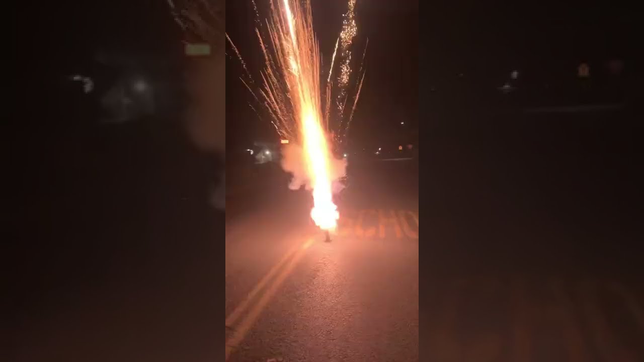 assassin 4” shell by warrior fireworks