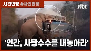 "트럭 멈춰!"…'배고픈' 태국 코끼리, 사탕수수 트럭 탈취 현장 / JTBC 사건반장