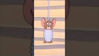 Tom & Jerry Funny Moments