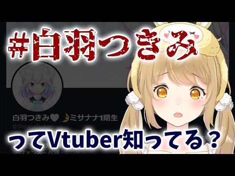 消えたVtuber、白羽つきみさんについて【因幡はねる / あにまーれ】