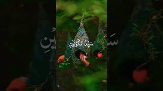 #allah #islam #islam #islamicmedia #fpy #shorts