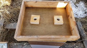 Beekeeping: Top Feeder Beehive