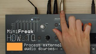 How to | MiniFreak / MiniFreak V - External Processing