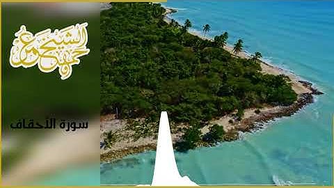 (يَا قَوْمَنَا أَجِيبُوا دَاعِيَ اللَّهِ وَآمِنُوا بِهِ ) تلاوة جميلة ورائعة من سورة الأحقاف