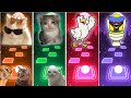 Funny Cat Meme vs Craying Cat vs Chicken vs  Huggy Wuggy - Tiles Hop