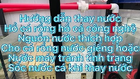 #hướng dẫn thay nước cá rồng #hồ cá rồng #tránh tình trạng cá rồng bị sốc nước khi thay nước #