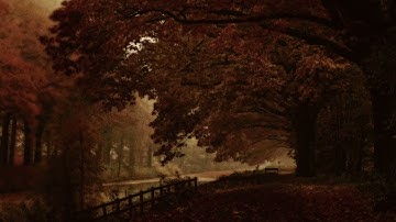 songs that remind me of autumn.