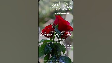 القارئ سعد الغامدي يتلو آيات من الذكر الحكيم...🌹🍀🌹🍀🌹🍀🌹🍀🌹🍀🌹🌹🍀🌹🍀