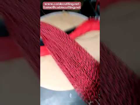 Copper Wire Stranding Machine for Winding Braided Isolation and Twisted Cables
