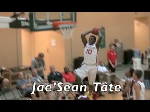 Jae'Sean Tate Highlights @ AAU Super Showcase