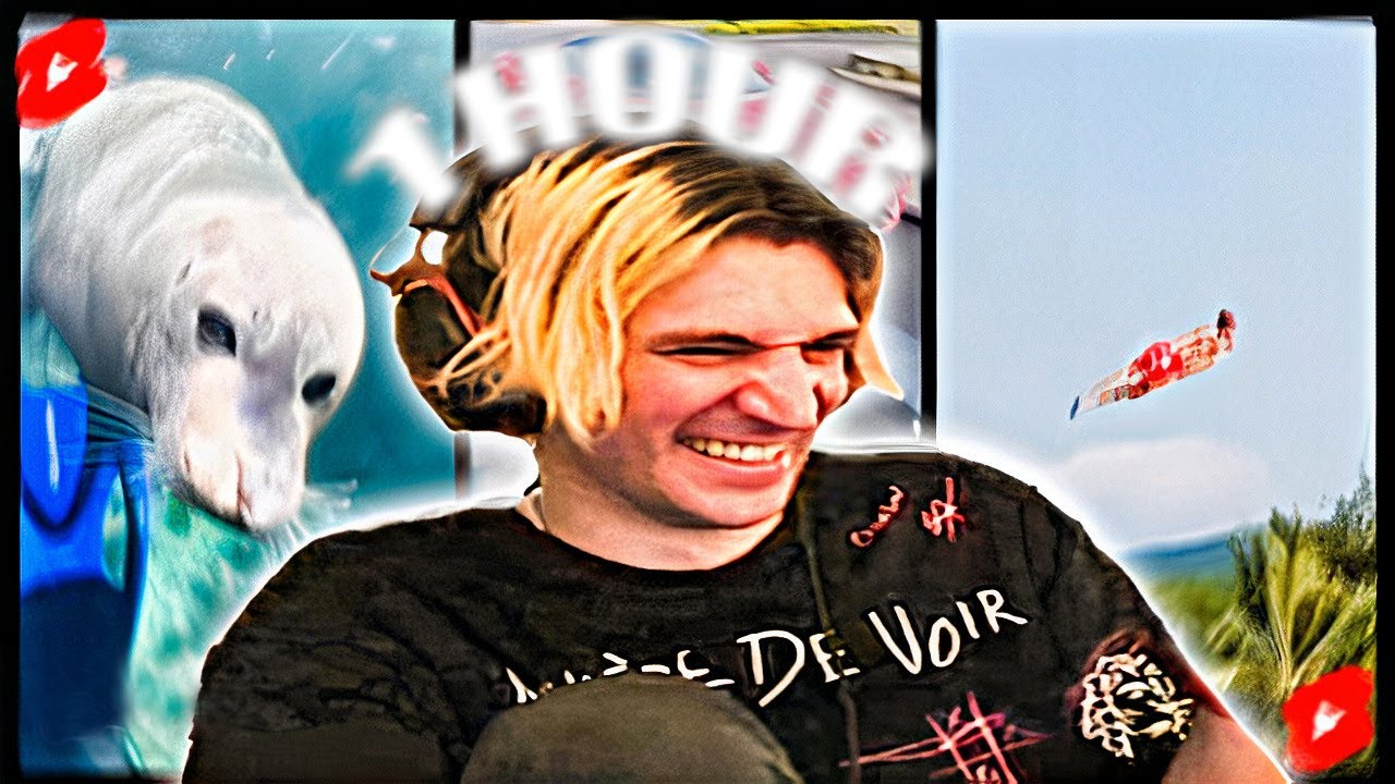 xQc’s YouTube Shorts Marathon: 1 HOUR OF NON STOP CONTENT!