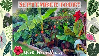 Farewell Summer! Tropical Garden Tour With Plant Names 🌴🌺