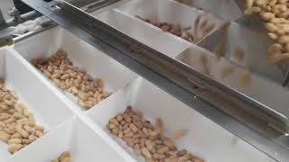 Hygienic Design for Food Manufacturing