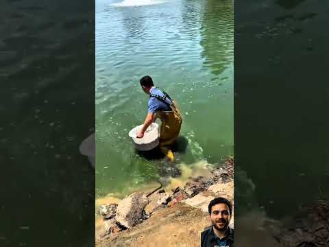 ثورة الزراعة المائية كيف تتحول الأسماك إلى ذهب في المزارع الحديثة مشروع مربح عالم التطور والذكاء