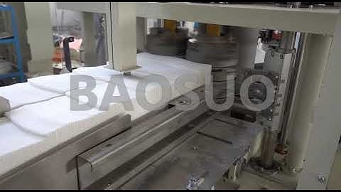 【BAOSUO】YC-PJ Fully Automatic Napkin Production Line/ Making Machine（1-3 color printing）2#