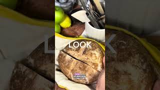 The Best Bread Bag Ever (Details In Description) #sourdough 🍞