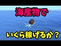 【あつ森】海鮮でいくら稼げるのか?