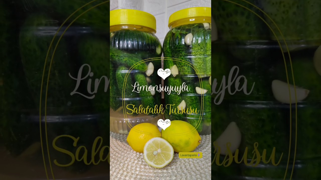 Turşunun İyisinde Limon Suyu Olur Diyenler Bu Tarif Size Göre.. #shorts #limon #tursutarifleri Turşunun İyisinde Limon Suyu Olur Diyenler Bu Tarif Size Göre.. #shorts #limon #tursutarifleri