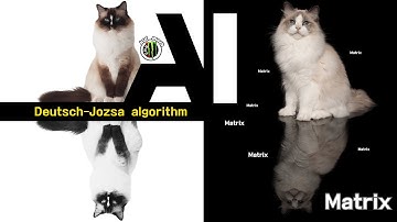 딥시크와 인공지능의 새로운 가능성을 열어 주는 양자컴퓨팅 | Matrix로 보는 Deutsch Jozsa algorithm | 슈뢰딩거고양이