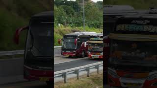 Bus Jetbus 5 Single Gl Super Executive 2-1 New Shantika