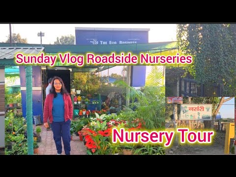 Sunday Vlog Roadside Nurseries||Visiting Plant Nursery In Haldwani ||nursery tour ||♻️🌿#plantlover