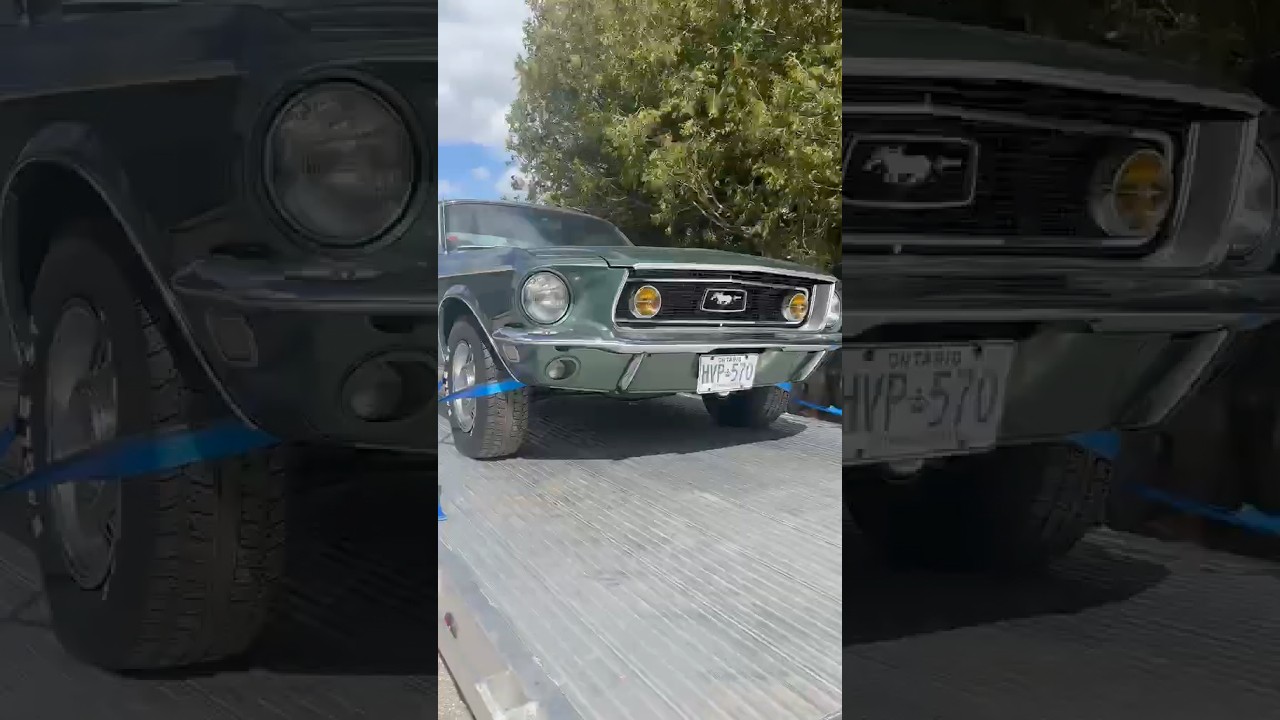 Spittel Family Collection Auction - Guelph