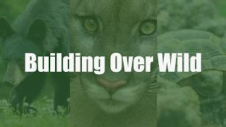 Building Over Wild