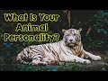 The Animal You Pick Will Reveal Your True Personality