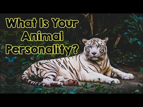 The Animal You Pick Will Reveal Your True Personality