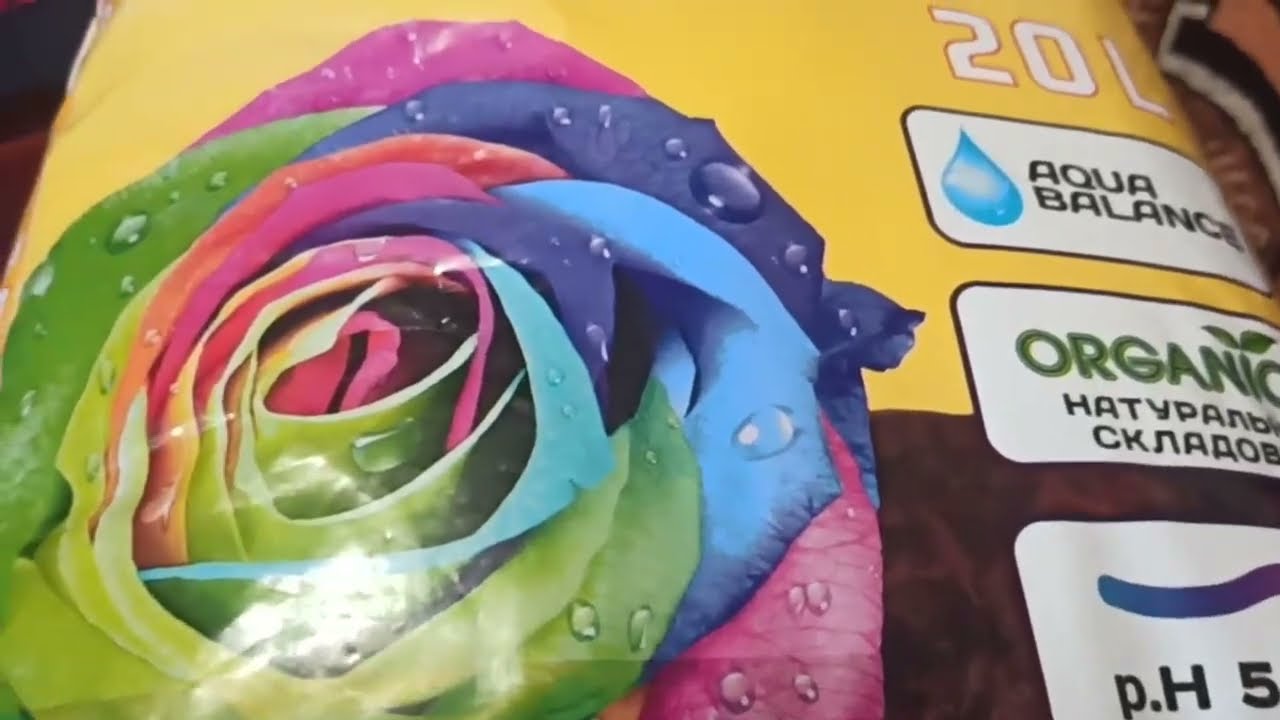 ВИСАДЖУЄМО!!- ЩО З НАСІННЯМ ?