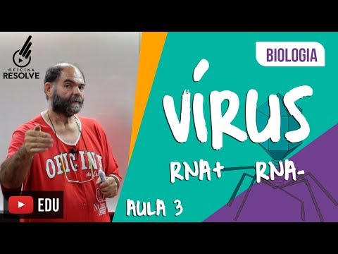 Vídeo: Diferença Entre Vírus De RNA De Sentido Positivo E Negativo