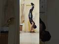 Home workout 💪🇮🇳 Calisthenics (Day.148) #calisthenics #skills #calisthenicsworkout #motivation