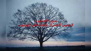المصحف المرتل للشيخ محمد صديق المنشاوي بنسخة الاذاعة سورة العنكبوت